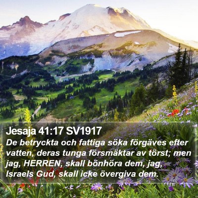 Jesaja 41:17 SV1917 Bible Verse Image