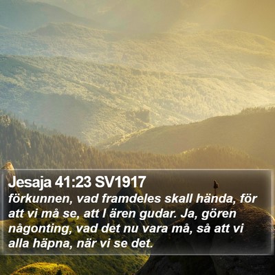 Jesaja 41:23 SV1917 Bible Verse Image