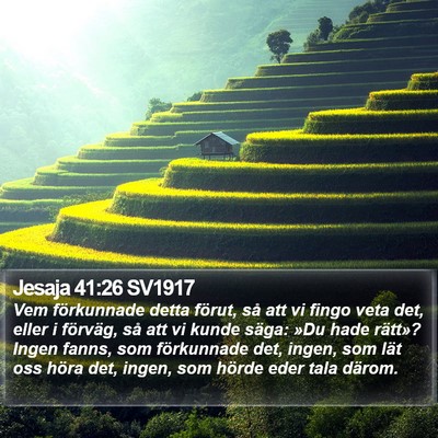 Jesaja 41:26 SV1917 Bible Verse Image