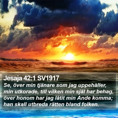 Jesaja 42:1 SV1917 Bible Verse Image