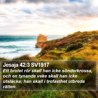 Jesaja 42:3 SV1917 Bible Verse Image