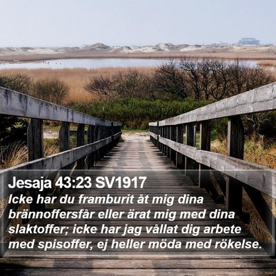 Jesaja 43:23 SV1917 Bible Verse Image