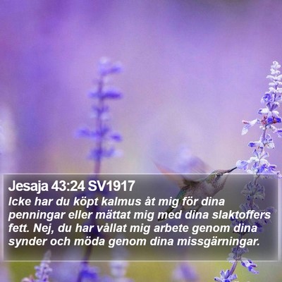 Jesaja 43:24 SV1917 Bible Verse Image