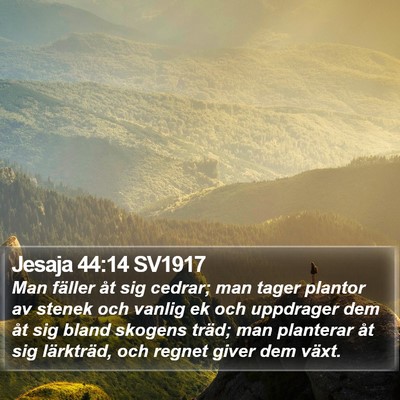 Jesaja 44:14 SV1917 Bible Verse Image