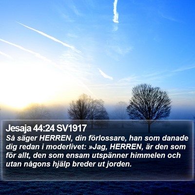 Jesaja 44:24 SV1917 Bible Verse Image