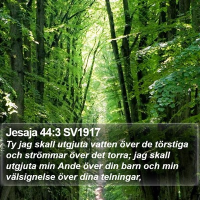 Jesaja 44:3 SV1917 Bible Verse Image