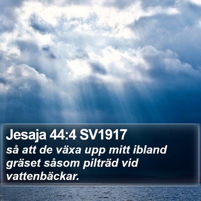Jesaja 44:4 SV1917 Bible Verse Image