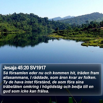 Jesaja 45:20 SV1917 Bible Verse Image