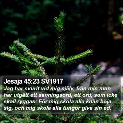 Jesaja 45:23 SV1917 Bible Verse Image