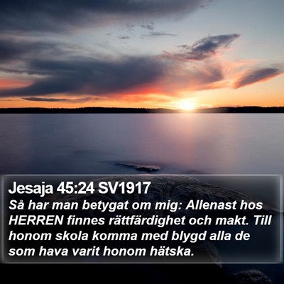 Jesaja 45:24 SV1917 Bible Verse Image