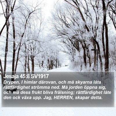 Jesaja 45:8 SV1917 Bible Verse Image