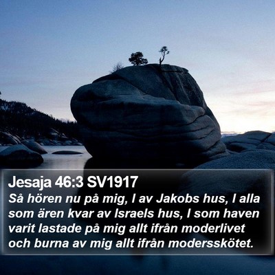 Jesaja 46:3 SV1917 Bible Verse Image