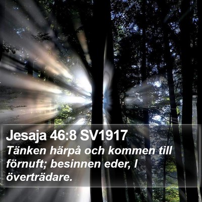 Jesaja 46:8 SV1917 Bible Verse Image