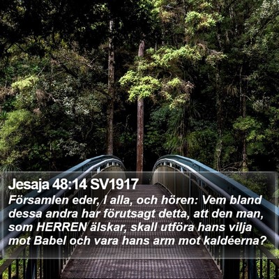 Jesaja 48:14 SV1917 Bible Verse Image