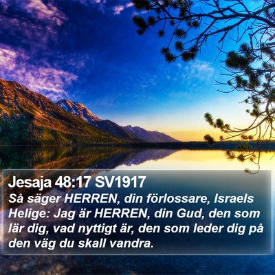 Jesaja 48:17 SV1917 Bible Verse Image