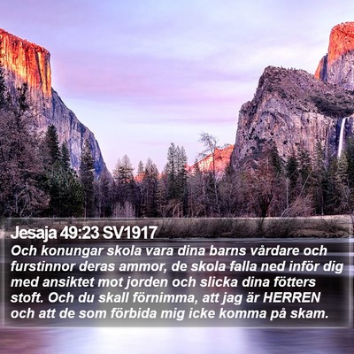 Jesaja 49:23 SV1917 Bible Verse Image