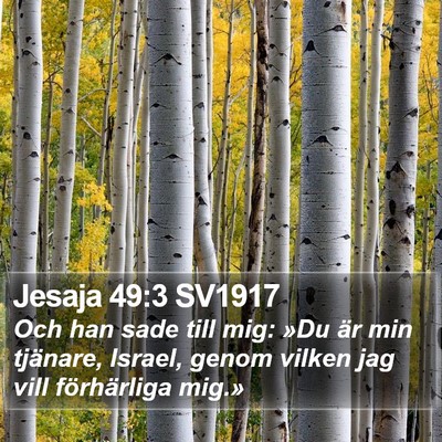 Jesaja 49:3 SV1917 Bible Verse Image