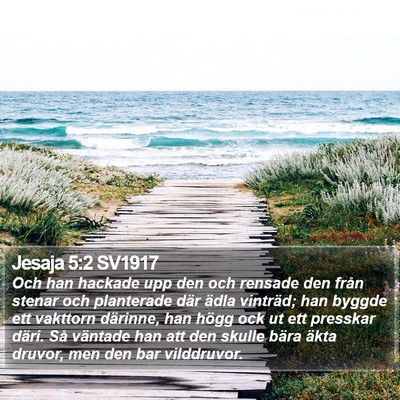 Jesaja 5:2 SV1917 Bible Verse Image