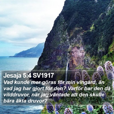 Jesaja 5:4 SV1917 Bible Verse Image