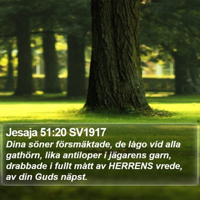 Jesaja 51:20 SV1917 Bible Verse Image