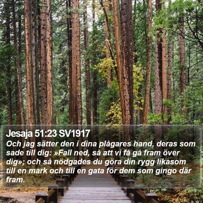 Jesaja 51:23 SV1917 Bible Verse Image