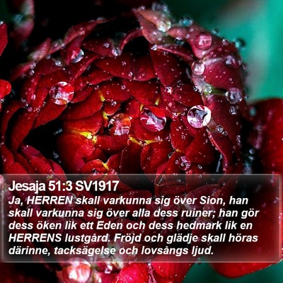 Jesaja 51:3 SV1917 Bible Verse Image