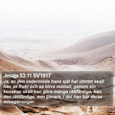 Jesaja 53:11 SV1917 Bible Verse Image
