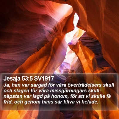 Jesaja 53:5 SV1917 Bible Verse Image