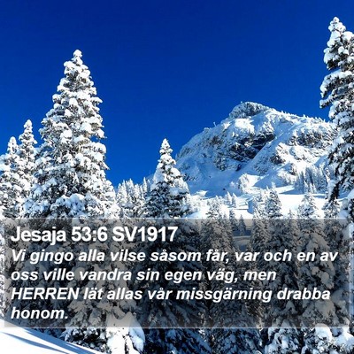 Jesaja 53:6 SV1917 Bible Verse Image