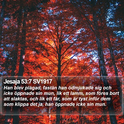 Jesaja 53:7 SV1917 Bible Verse Image