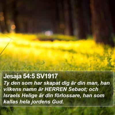 Jesaja 54:5 SV1917 Bible Verse Image
