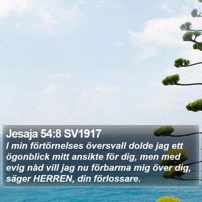 Jesaja 54:8 SV1917 Bible Verse Image