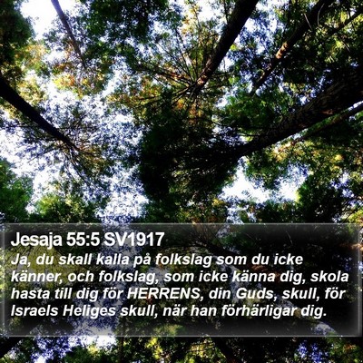 Jesaja 55:5 SV1917 Bible Verse Image