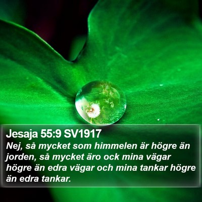 Jesaja 55:9 SV1917 Bible Verse Image