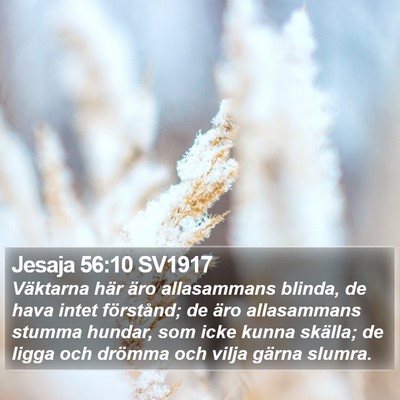 Jesaja 56:10 SV1917 Bible Verse Image