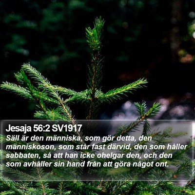 Jesaja 56:2 SV1917 Bible Verse Image
