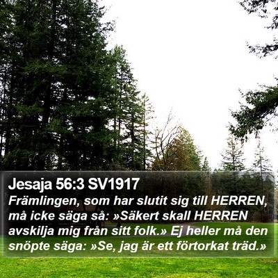 Jesaja 56:3 SV1917 Bible Verse Image