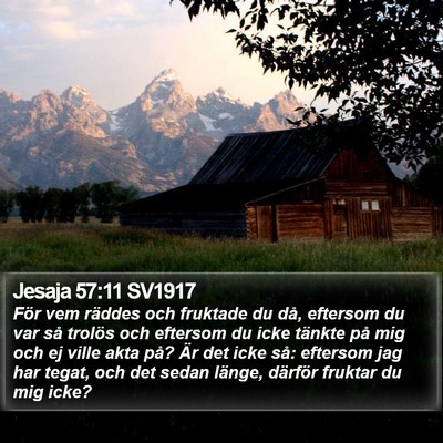 Jesaja 57:11 SV1917 Bible Verse Image