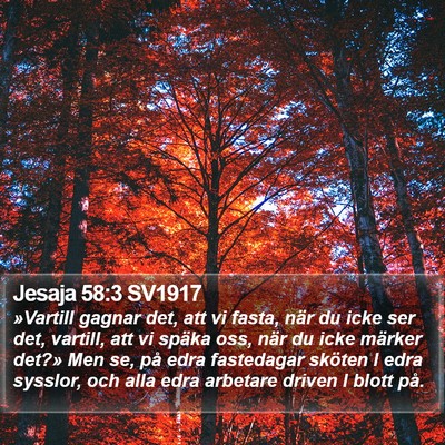 Jesaja 58:3 SV1917 Bible Verse Image