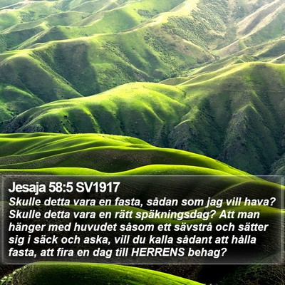 Jesaja 58:5 SV1917 Bible Verse Image