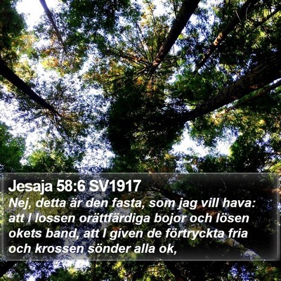 Jesaja 58:6 SV1917 Bible Verse Image