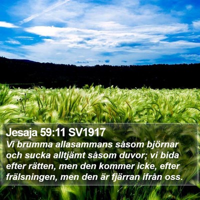 Jesaja 59:11 SV1917 Bible Verse Image