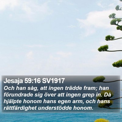 Jesaja 59:16 SV1917 Bible Verse Image