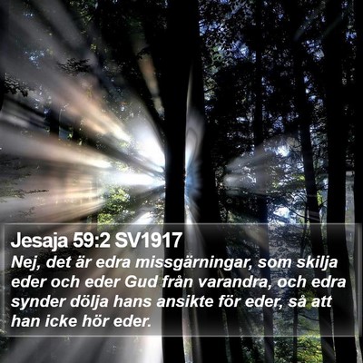 Jesaja 59:2 SV1917 Bible Verse Image
