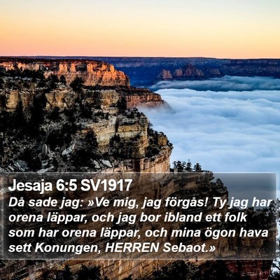 Jesaja 6:5 SV1917 Bible Verse Image