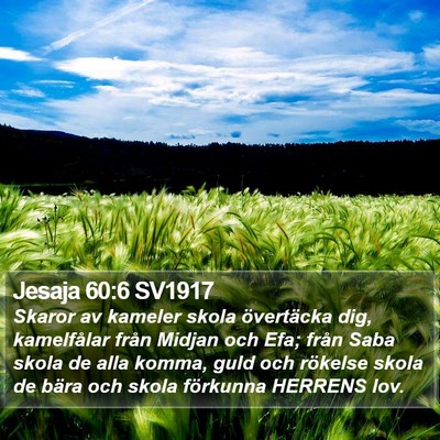 Jesaja 60:6 SV1917 Bible Verse Image
