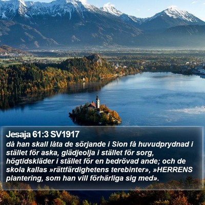Jesaja 61:3 SV1917 Bible Verse Image