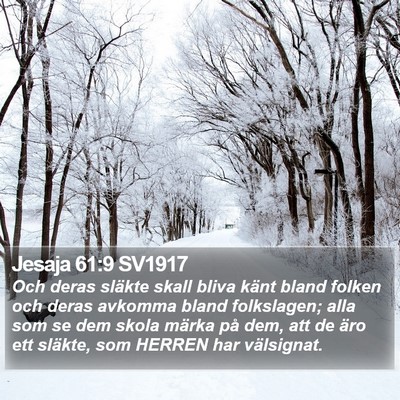 Jesaja 61:9 SV1917 Bible Verse Image