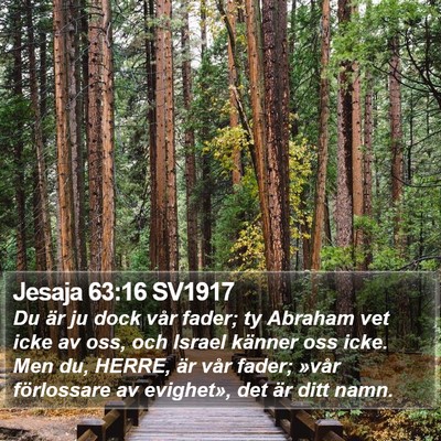 Jesaja 63:16 SV1917 Bible Verse Image