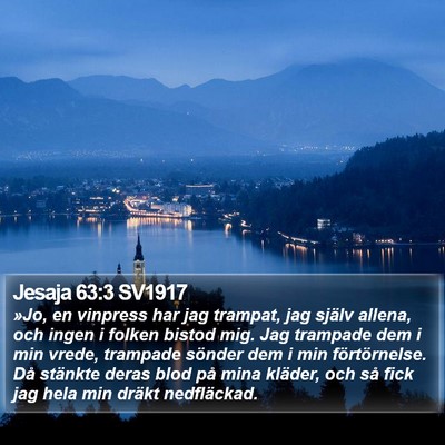 Jesaja 63:3 SV1917 Bible Verse Image